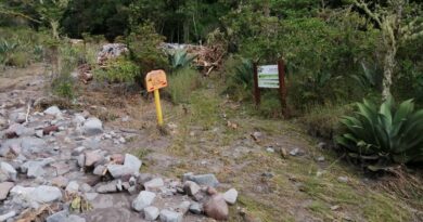Acceso a las Áreas Protegidas de Chiriquí siguen suspendido 