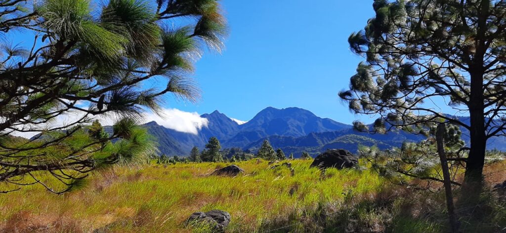 Más de 500 turistas ascienden al volcán en medio de normas de bioseguridad 
