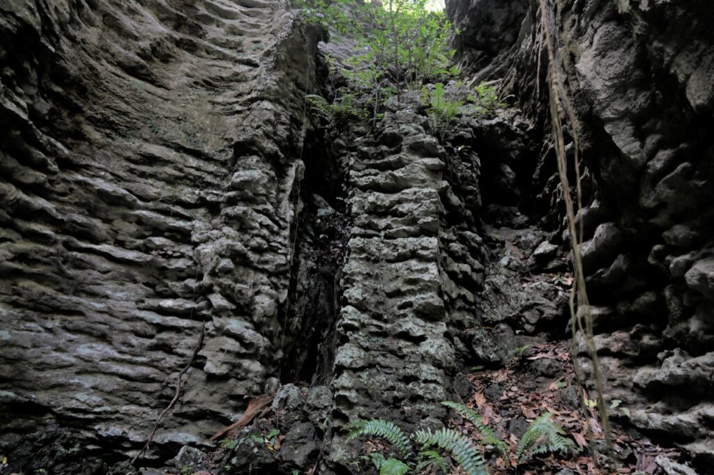 Las Cuevas de Alajuela: riqueza natural y cultural