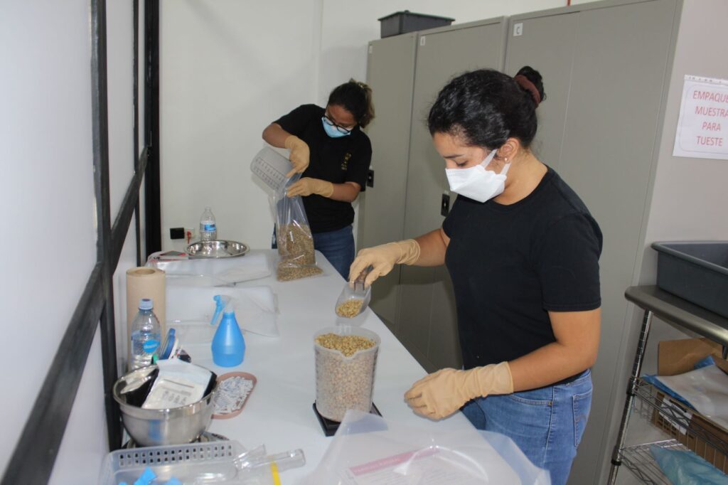 Inicia competencia por el Mejor Café de Panamá