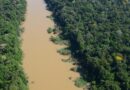 Los pueblos indígenas eran guardianes de la Amazonía occidental