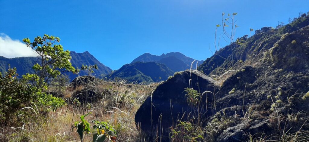 Áreas protegidas de Chiriquí reabren tras cuarentena total del domingo