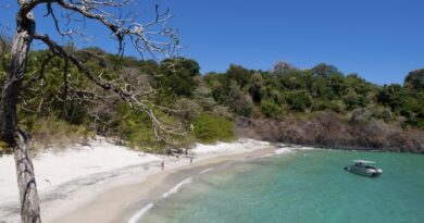 Operadores turísticos chiricanos lanzarán promoción para los vacunados