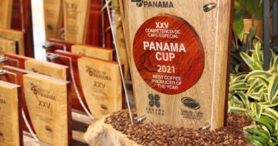 Café especial de Panamá volvió a demostrar su casta