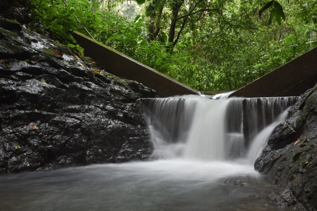 Nueva exhibición del Smithsonian en el Museo del Canal: Agua Salud