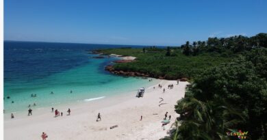 Hasta 300 turistas máximo, pueden visitar por día Isla Iguana en Pedasí