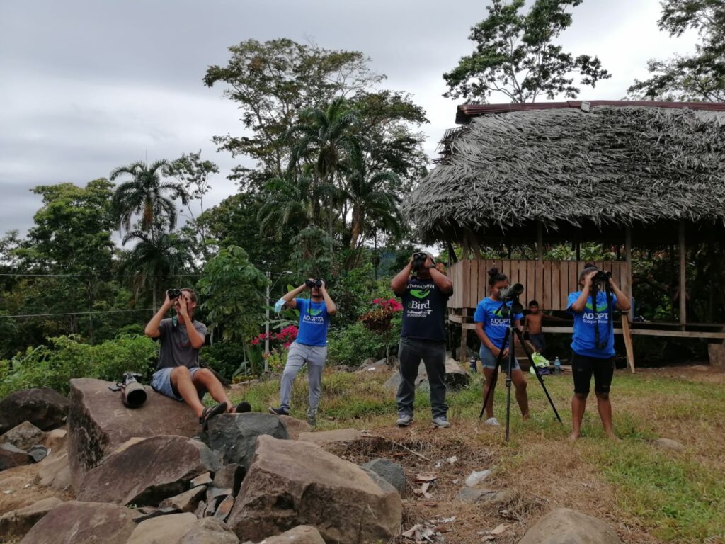Nuevo sitio de monitoreo de aves rapaces migratorias