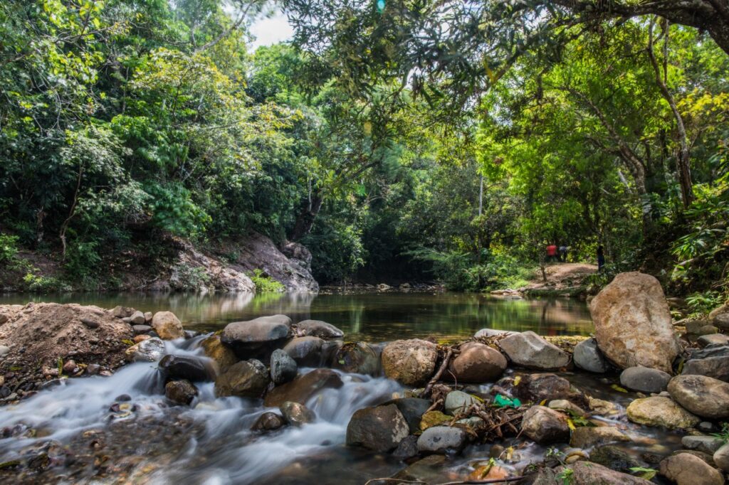 MiAMBIENTE reinicia cobro por ingreso a las áreas protegidas
