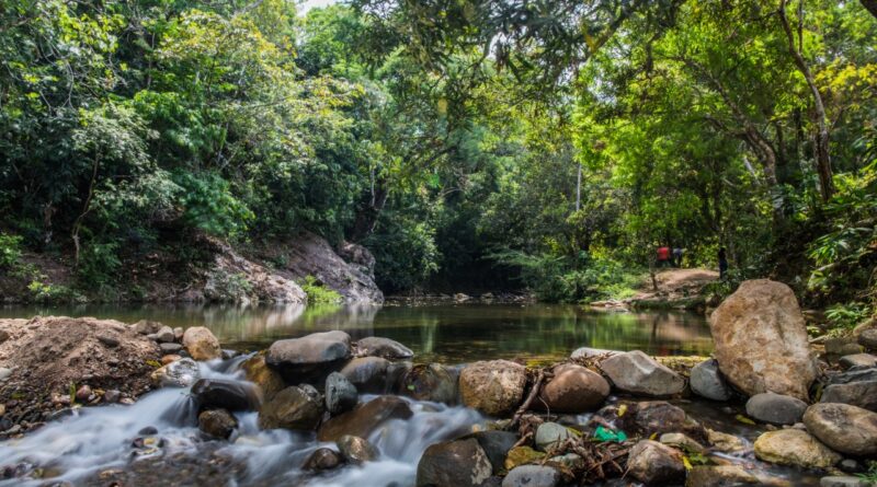 MiAMBIENTE reinicia cobro por ingreso a las áreas protegidas