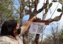 Códigos QR para identificar la flora existente en Sarigua