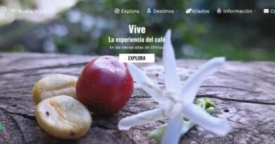 Lanzan plataforma digital: “Circuito del Café”