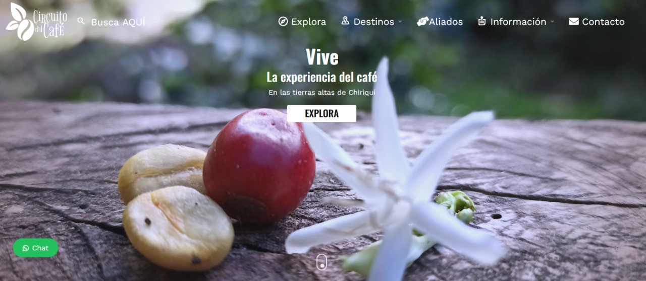 Lanzan plataforma digital: “Circuito del Café”