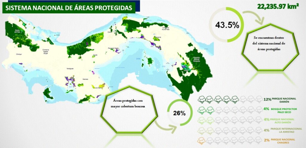 Panamá incrementa en un 3% su cobertura boscosa