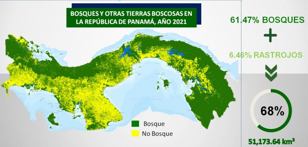 Panamá incrementa en un 3% su cobertura boscosa