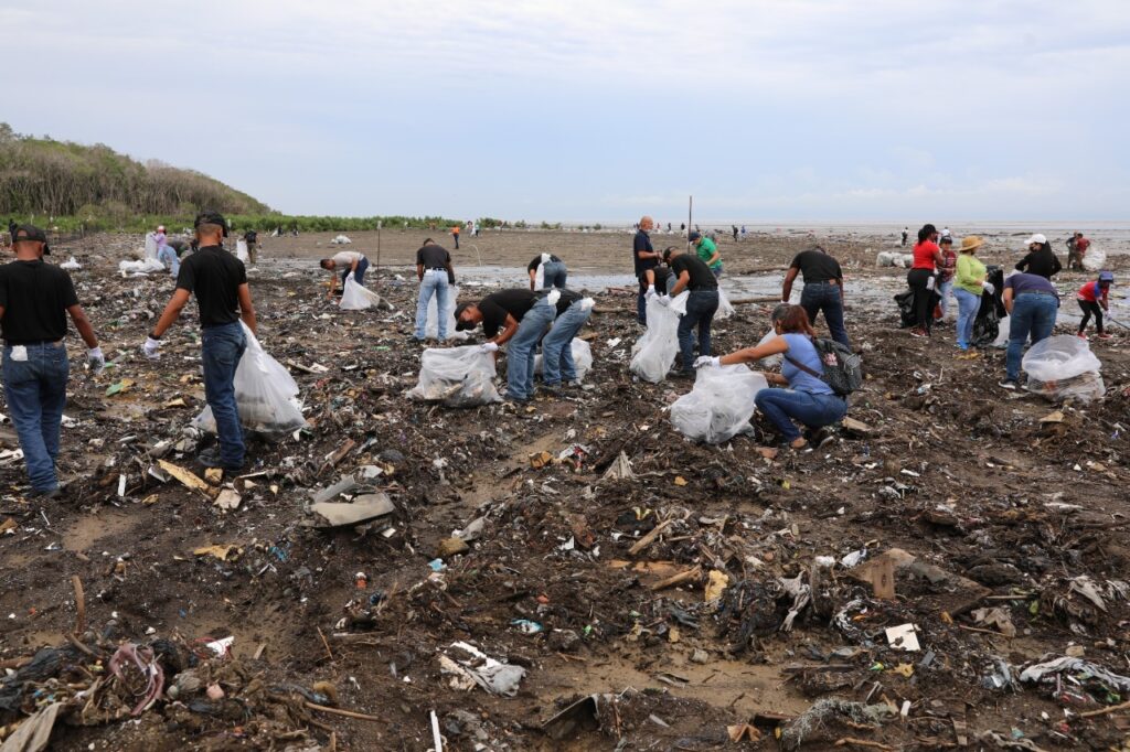 Más de 30 toneladas de basura en limpiezas de playas