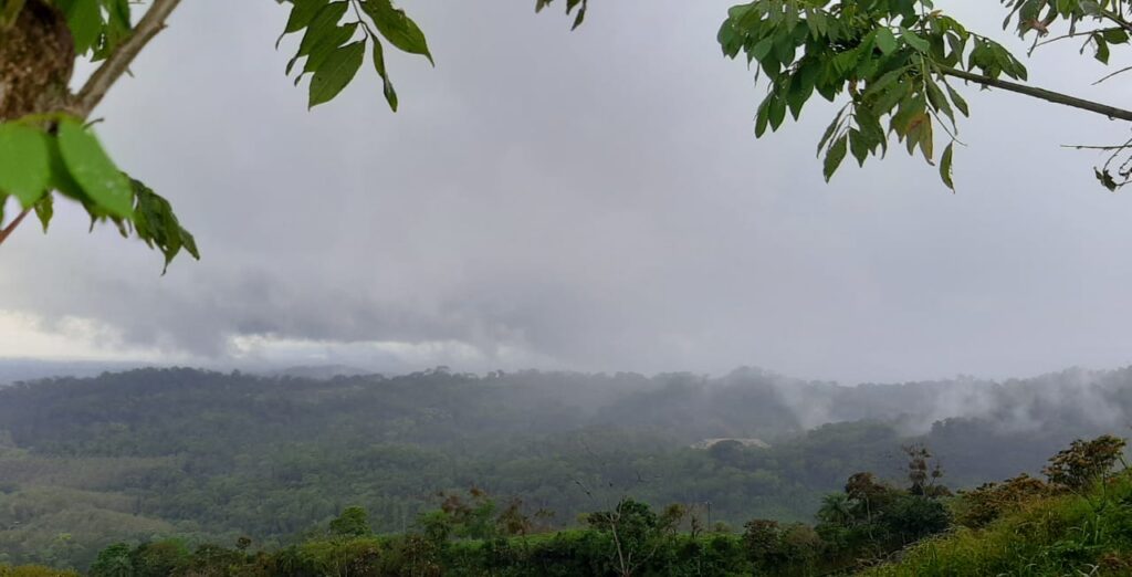 Suspenden acceso a las áreas protegidas de Chiriquí