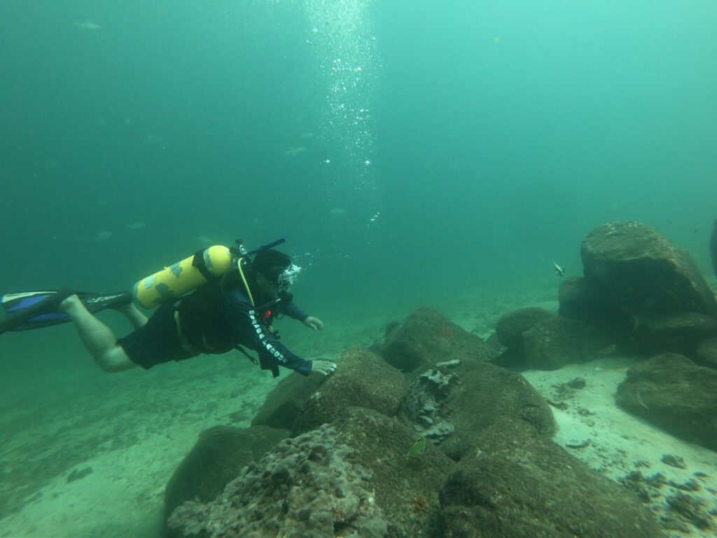 Los arrecifes de coral sustentan algunos de los ecosistemas con mayor biodiversidad del planeta, por ello, para mantener un buen equilibrio ecosistémico el Ministerio de Ambiente Regional de Los Santos, en conjunto con la Dirección de Costas y Mares, realizan monitoreos en el Refugio de Vida Silvestre (R.V.S. ) Isla Iguana, ubicada en el distrito de Pedasí. Buzos certificados de MiAMBIENTE Los Santos, realizaron inmersiones desde la parte noroeste hasta la parte sur de Isla Iguana, logrando visualizar el buen estado de salud de los corales. A su vez, se extrajo elementos que deterioran y contaminan el coral como botellas plásticas y otros tipos de desechos. Evelin Romero, jefa del R.V.S. Isla Iguana, informa que el objetivo principal de esta diligencia es la supervisión y mantenimiento de la salud de los ecosistemas coralinos que por fenómenos climáticos y por las malas prácticas de los visitantes se afectan y por ende a las especies asociadas. MiAMBIENTE realiza cada año esta actividad de eliminación de desechos que se acumulan en las colonias de corales, arrastrados por los fuertes oleajes desde las desembocaduras de los ríos, que muchas veces son áreas colindantes con vertederos. Estos efectos deterioran o provocan la disminución o muerte de los colares que datan de más de cien años de vida dentro de nuestros océanos. “Miles de animales marinos dependen de los arrecifes de coral para sobrevivir, incluyendo algunas especies de tortugas marinas, peces, cangrejos, camarones, medusas, aves marinas, estrellas de mar y muchas más. Además de proporcionar refugio, zona para desove y protección ante los depredadores”, agregó Romero. Los arrecifes coralinos, son los ecosistemas marinos más amenazados actualmente por diversas causas como el cambio climático que ocasiona el blanqueamiento de los corales, así como por la sedimentación excesiva, sobrepesca y otras actividades como el anclaje que puedan dañarlos o causar su muerte. Tienen un gran valor ecológico y también económico porque son aprovechados para actividades como el turismo y también generan los primeros estadios de muchas especies comerciales de peces que luego son capturadas a través de diferentes tipos de pesca en mar abierto. A su vez, desempeñan funciones vitales para los ecosistemas marinos y costeros: constituyen barreras protectoras de las costas, ya que evitan la erosión, y son sitios con las condiciones adecuadas para la reproducción y crianza de múltiples especies que forman parte de nuestro consumo diario.