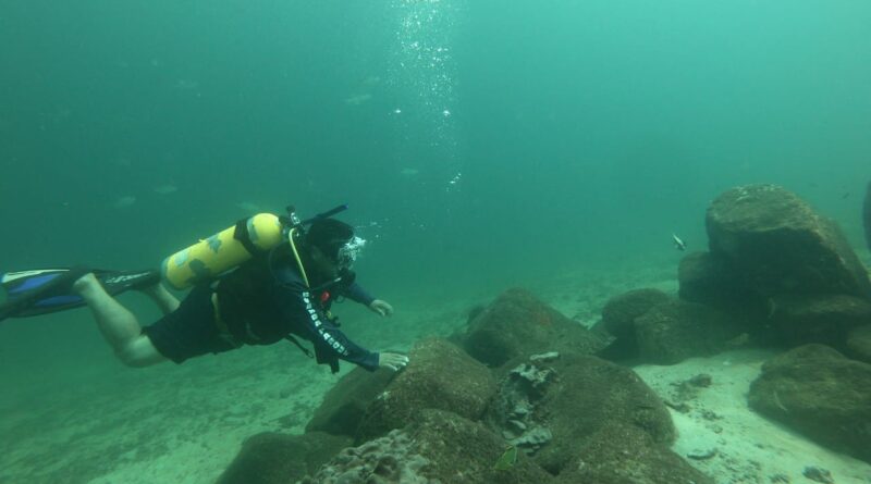 Los arrecifes de coral sustentan algunos de los ecosistemas con mayor biodiversidad del planeta, por ello, para mantener un buen equilibrio ecosistémico el Ministerio de Ambiente Regional de Los Santos, en conjunto con la Dirección de Costas y Mares, realizan monitoreos en el Refugio de Vida Silvestre (R.V.S. ) Isla Iguana, ubicada en el distrito de Pedasí. Buzos certificados de MiAMBIENTE Los Santos, realizaron inmersiones desde la parte noroeste hasta la parte sur de Isla Iguana, logrando visualizar el buen estado de salud de los corales. A su vez, se extrajo elementos que deterioran y contaminan el coral como botellas plásticas y otros tipos de desechos. Evelin Romero, jefa del R.V.S. Isla Iguana, informa que el objetivo principal de esta diligencia es la supervisión y mantenimiento de la salud de los ecosistemas coralinos que por fenómenos climáticos y por las malas prácticas de los visitantes se afectan y por ende a las especies asociadas. MiAMBIENTE realiza cada año esta actividad de eliminación de desechos que se acumulan en las colonias de corales, arrastrados por los fuertes oleajes desde las desembocaduras de los ríos, que muchas veces son áreas colindantes con vertederos. Estos efectos deterioran o provocan la disminución o muerte de los colares que datan de más de cien años de vida dentro de nuestros océanos. “Miles de animales marinos dependen de los arrecifes de coral para sobrevivir, incluyendo algunas especies de tortugas marinas, peces, cangrejos, camarones, medusas, aves marinas, estrellas de mar y muchas más. Además de proporcionar refugio, zona para desove y protección ante los depredadores”, agregó Romero. Los arrecifes coralinos, son los ecosistemas marinos más amenazados actualmente por diversas causas como el cambio climático que ocasiona el blanqueamiento de los corales, así como por la sedimentación excesiva, sobrepesca y otras actividades como el anclaje que puedan dañarlos o causar su muerte. Tienen un gran valor ecológico y también económico porque son aprovechados para actividades como el turismo y también generan los primeros estadios de muchas especies comerciales de peces que luego son capturadas a través de diferentes tipos de pesca en mar abierto. A su vez, desempeñan funciones vitales para los ecosistemas marinos y costeros: constituyen barreras protectoras de las costas, ya que evitan la erosión, y son sitios con las condiciones adecuadas para la reproducción y crianza de múltiples especies que forman parte de nuestro consumo diario.