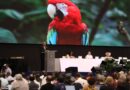 Reunión de la CITES en Panamá impactará economía en más de $17 millones