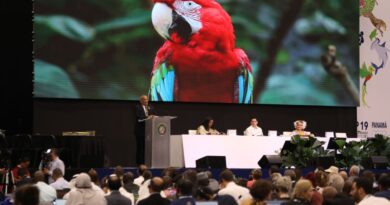 Reunión de la CITES en Panamá impactará economía en más de $17 millones