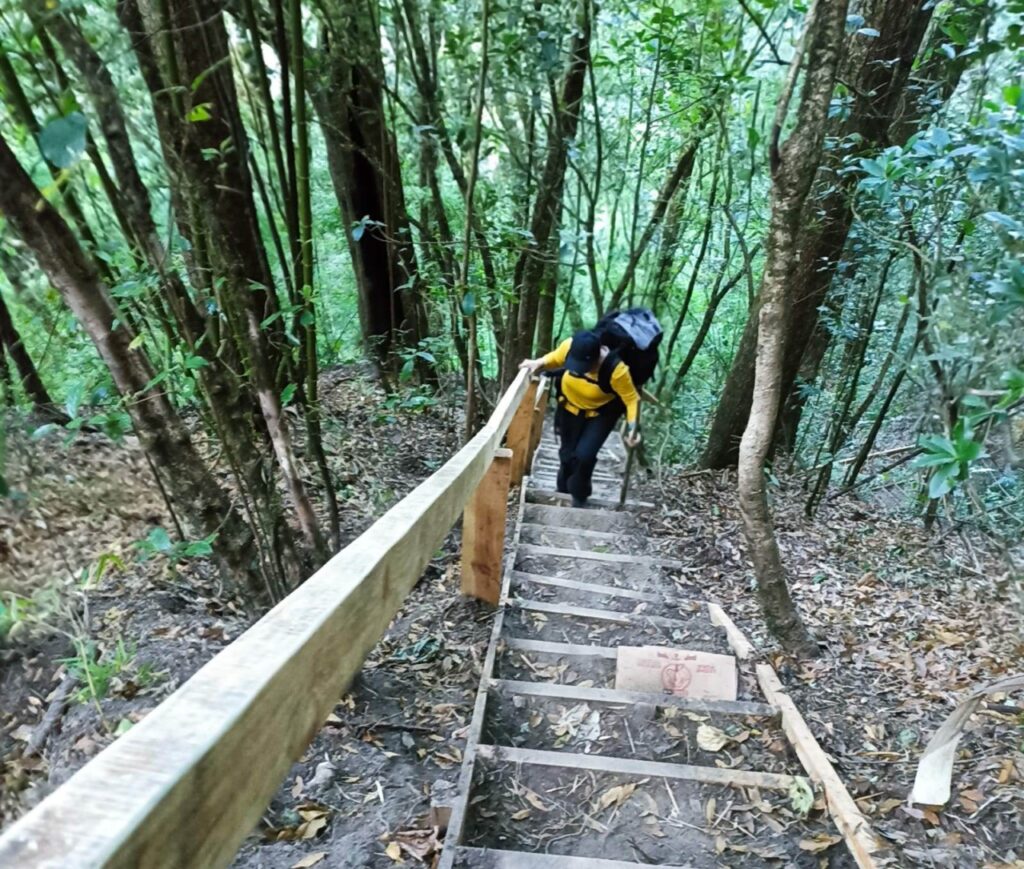 Sendero Los Llanos, en el PNVB, registra 70 % de avance