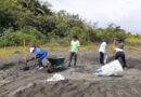 MiAMBIENTE se prepara para la llegada de las tortugas marinas