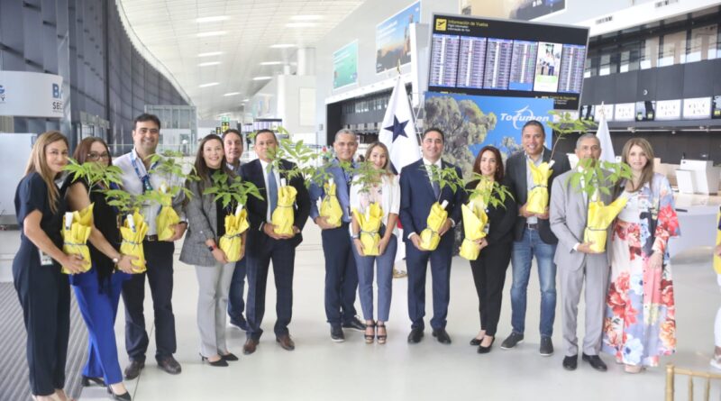 Aeropuerto de Tocumen recibe 800 plantones de guayacanes