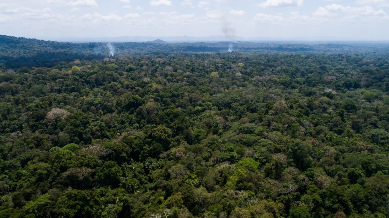Estas 187,657.08 hectáreas abarcan una superficie restaurada de 8,452.38 ha en el período 2021-2022 y en 2019 a la fecha, se recuperaron rastrojos y bosques secundarios a través