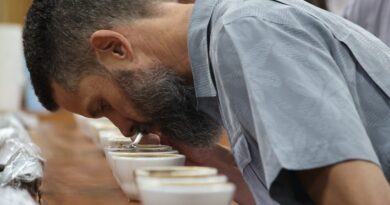 Productores panameños preparan café para el BOP 2023