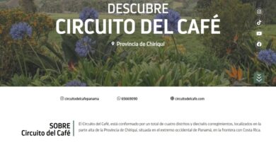 ATP lanza página web de campaña “Panamá Por Naturaleza”