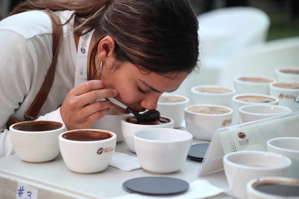 Inició la Cata Nacional del Mejor Café de Panamá