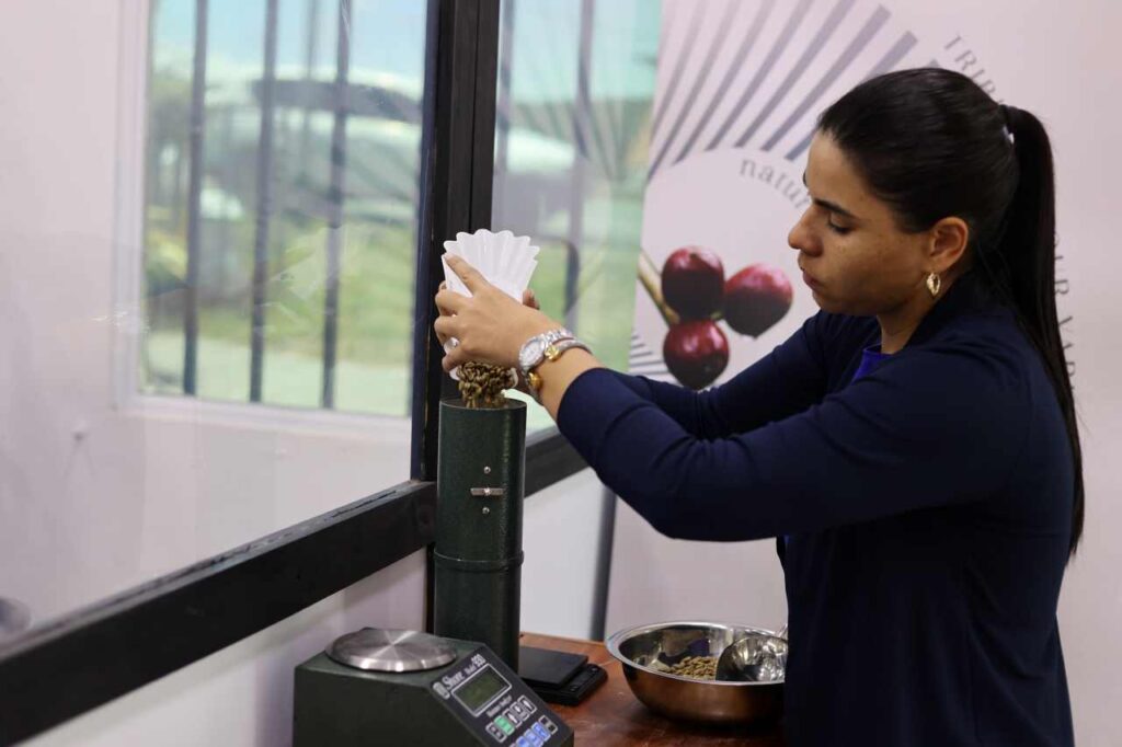 Lotes de café de altísima calidad ya están BOP 2023