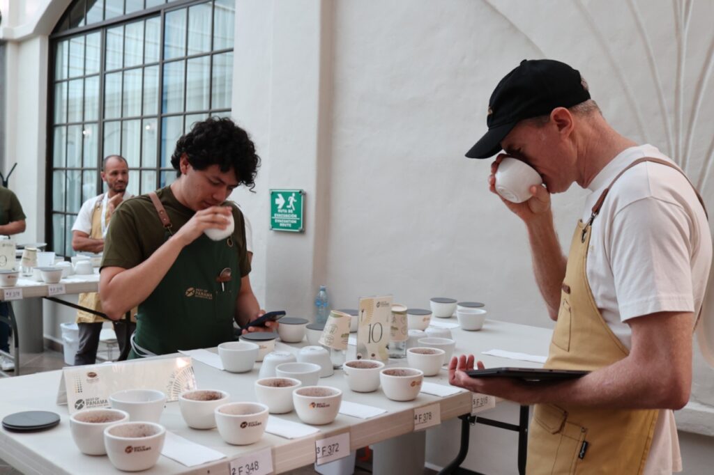 Culmina Cata Nacional de Café de especialidad de Panamá