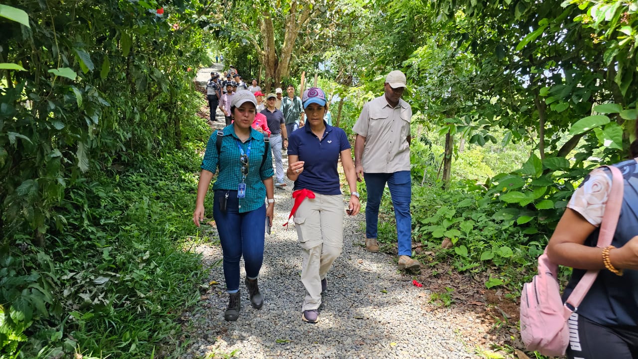 Sendero Playa Wizard en Bocas del Toro se renueva con intervención de la ATP