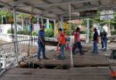 Inician reparaciones en el muelle de la Isla de Taboga