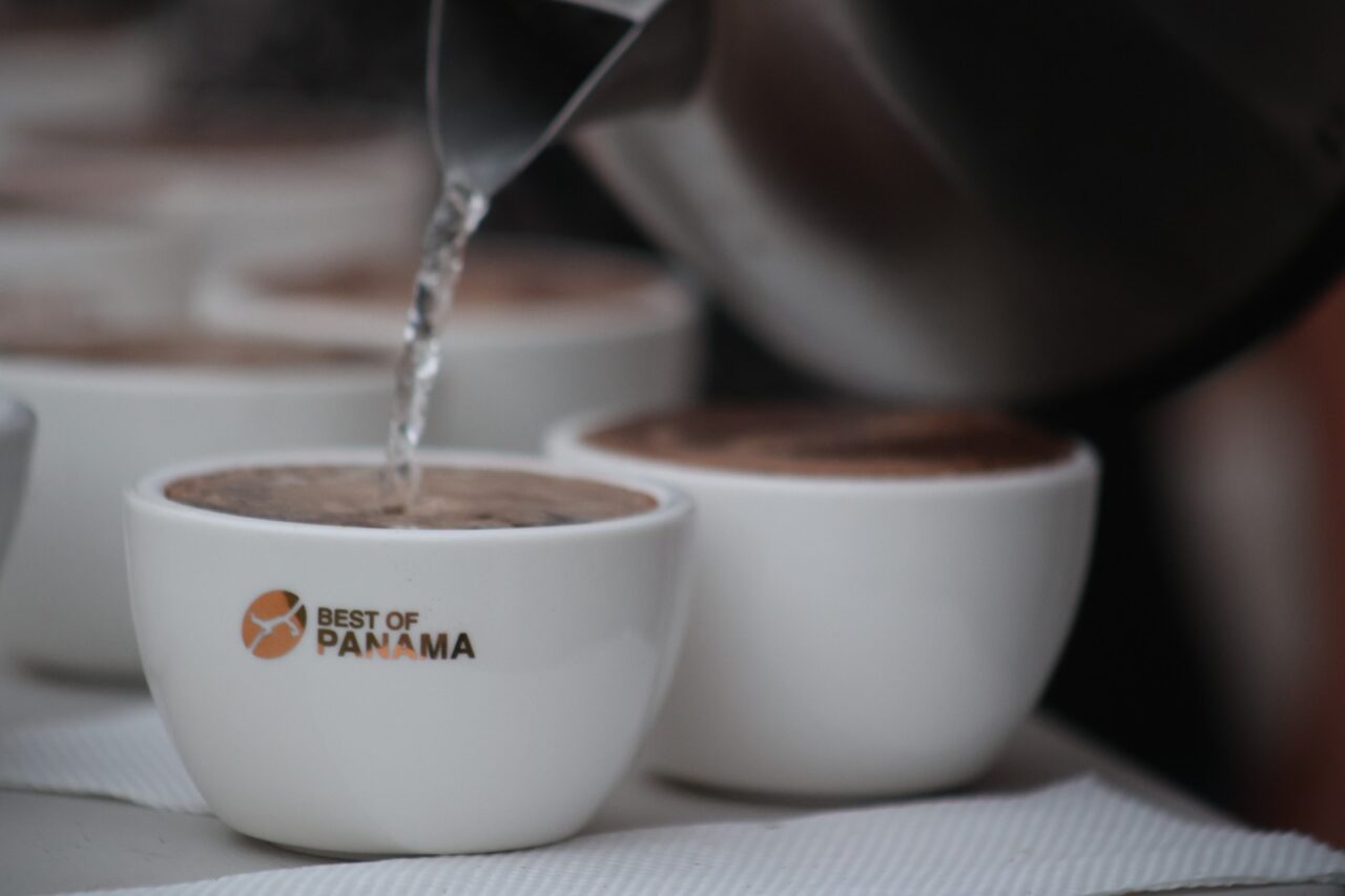 Panamá lidera en precio las subastas electrónicas de café de especialidad