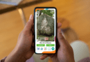 celular app