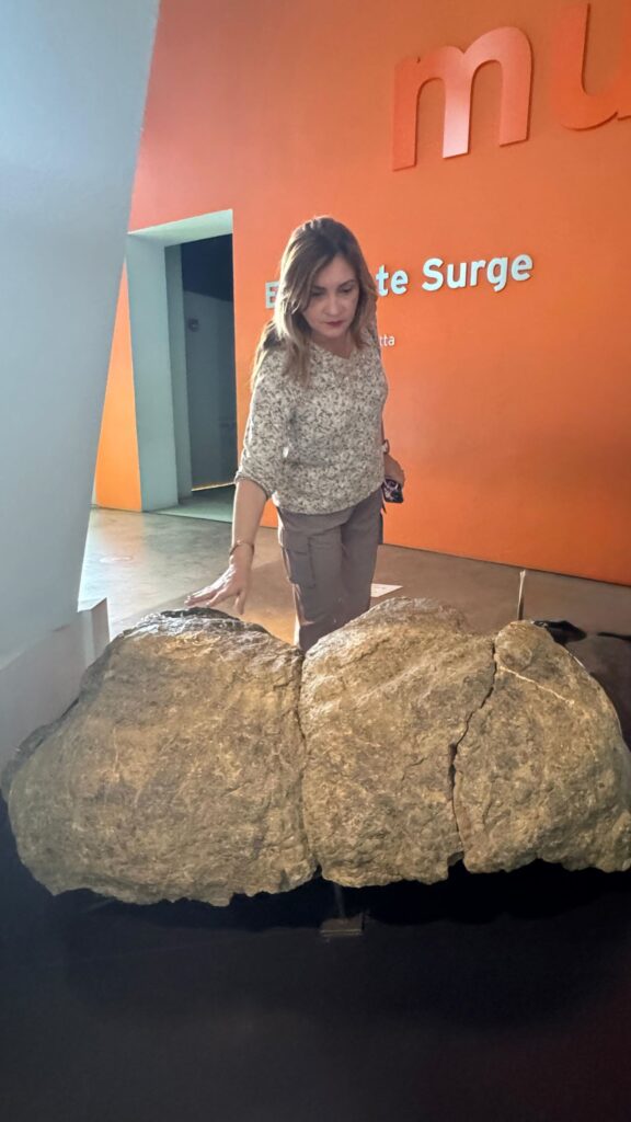 Roca 70 millones de años