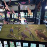 Centro de Visitantes de Boquete: la mejor vista del valle y atracciones imperdibles