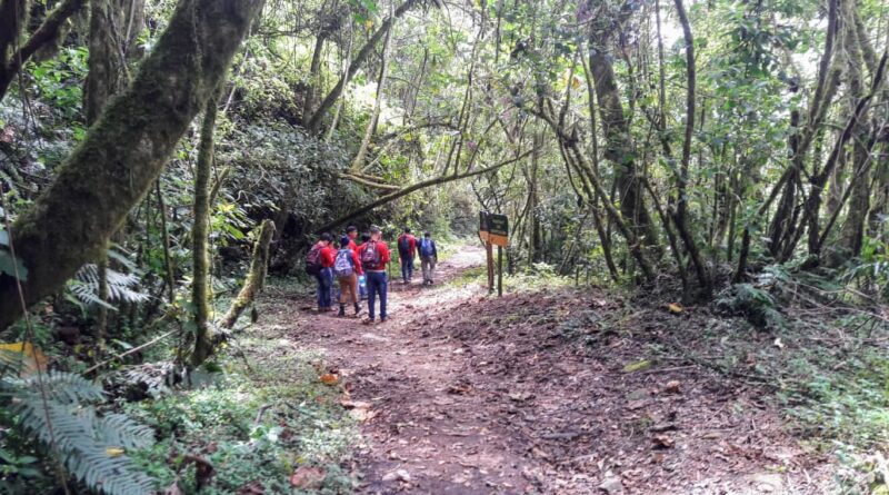Bomberos de Panamá alertan: prevención y preparación, claves para un senderismo seguro en el Volcán Barú senderistas