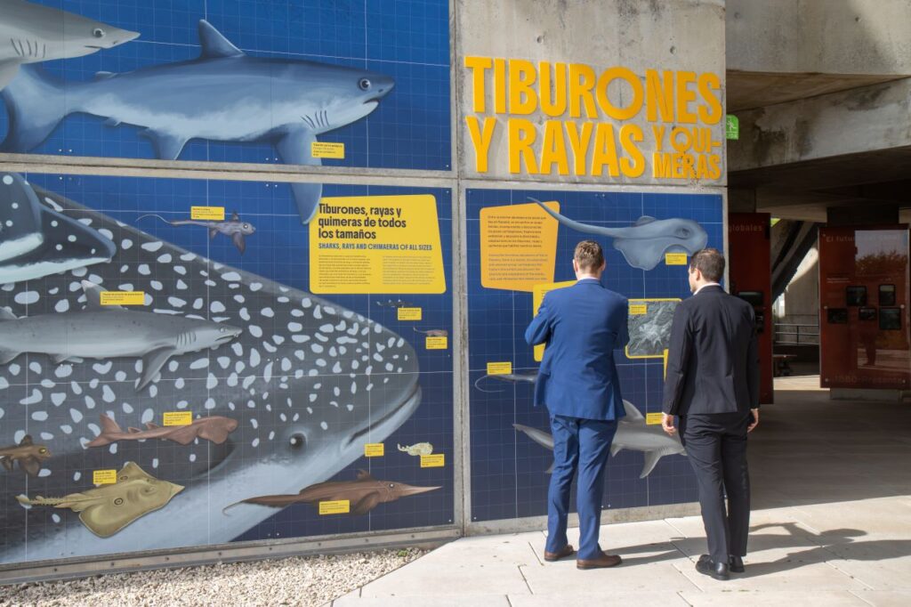 museo