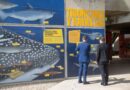 museo