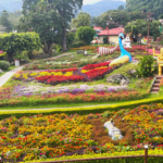 Escapada a Boquete: los lugares imperdibles cerca de David, Chiriquí