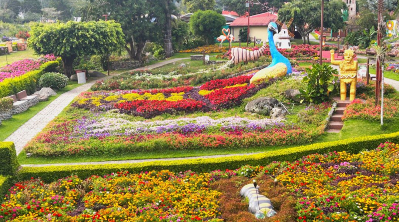 Escapada a Boquete: los lugares imperdibles cerca de David, Chiriquí
