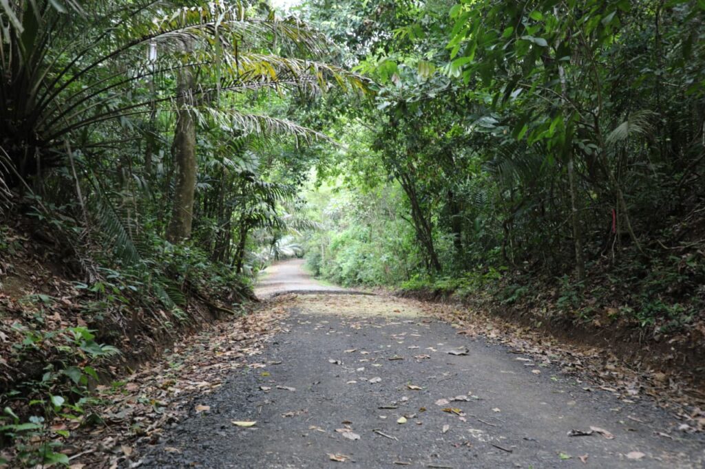 camino
