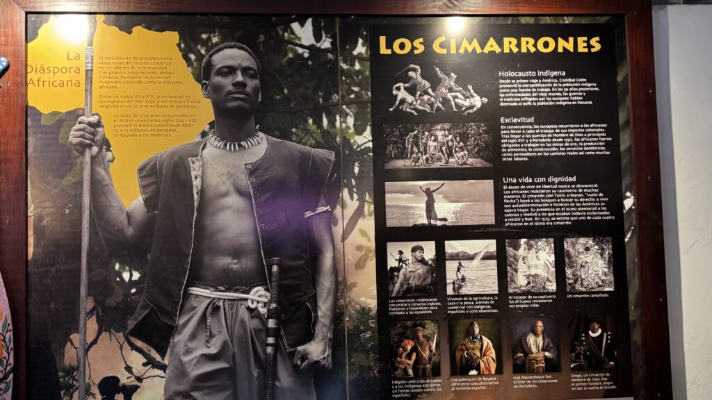 cimarrones