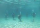 Guardaparques de Coiba se certifican como buzos para proteger ecosistemas marinos