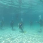Guardaparques de Coiba se certifican como buzos para proteger ecosistemas marinos