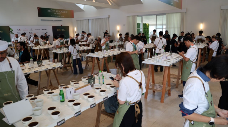 Panamá reúne a expertos internacionales para elegir los mejores cafés de especialidad